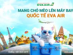 Mang chó mèo lên máy bay quốc tế EVA Air - Hướng dẫn chi tiết